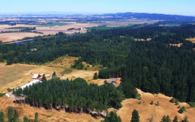 Salem Aerial – The Overview